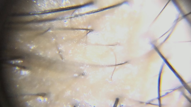 0D67B9A3-EB23-4AE9-BDE1-C24616F55A74.jpeg
