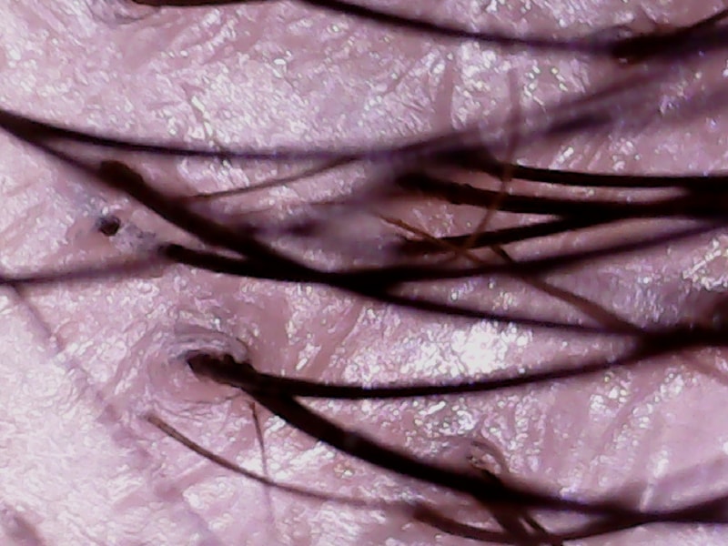 20200818_010013.jpg