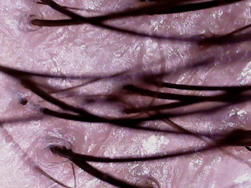 20200818_010010.jpg