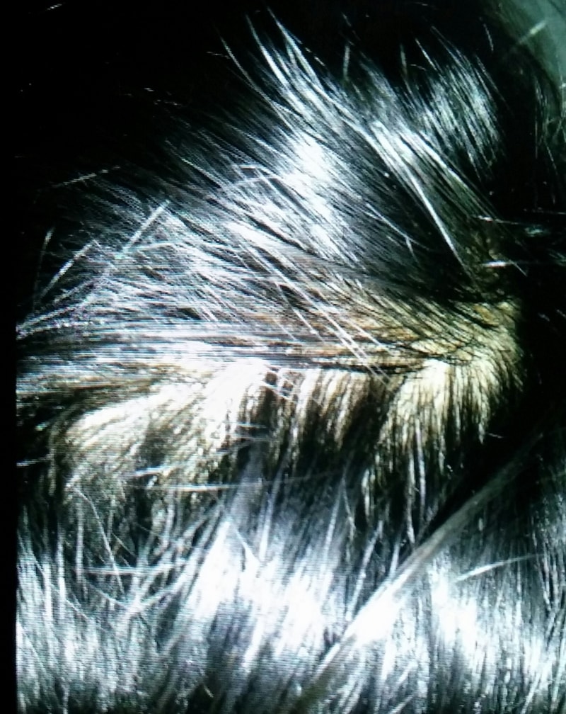 CAM00310-1.jpg