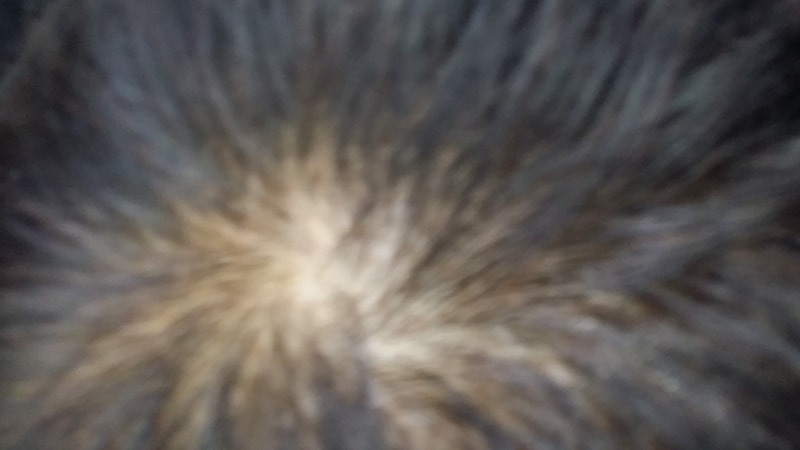 20180607_120945.jpg