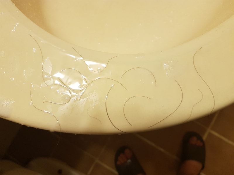 20180730_131121.jpg