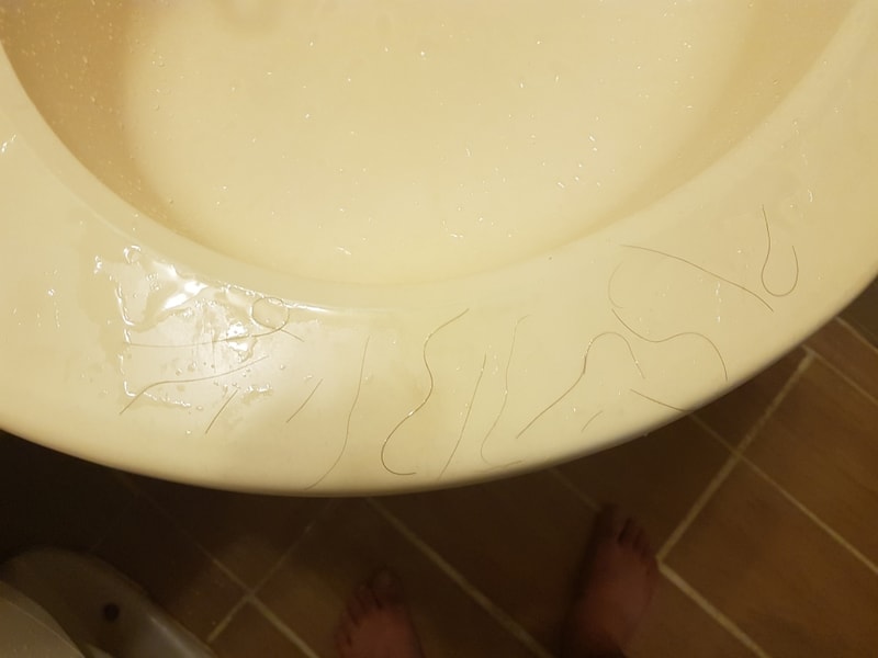 20180731_003540.jpg