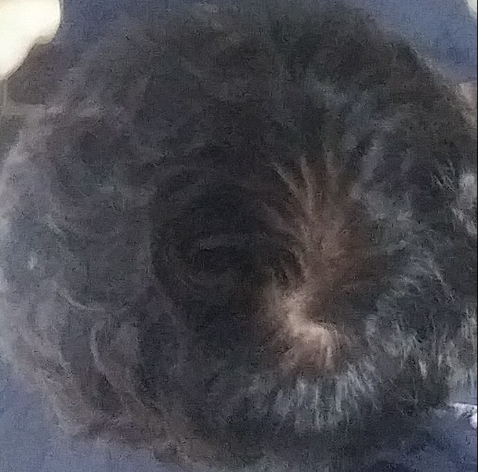 20180414_192443-1.jpg