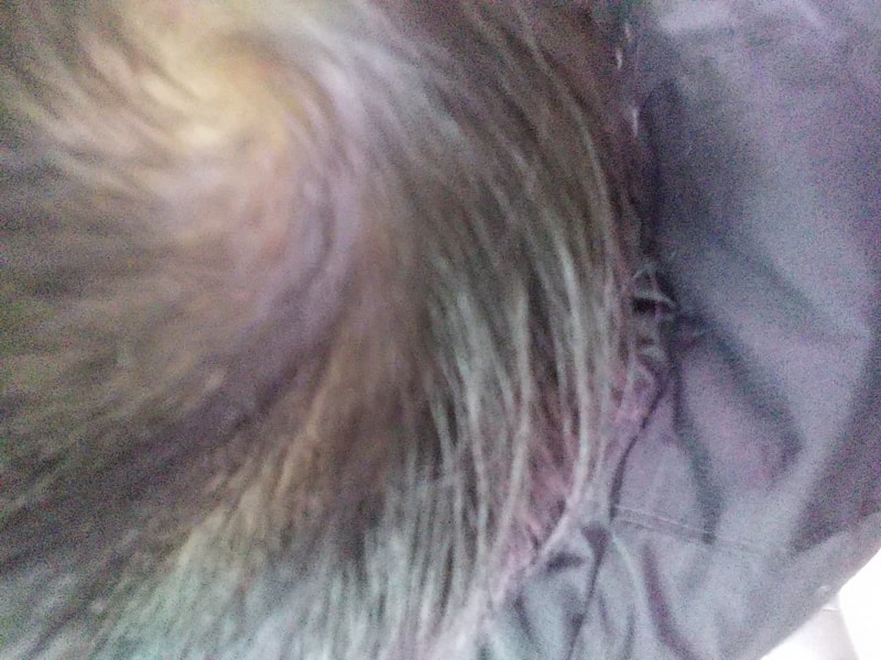 20191226_111355.jpg