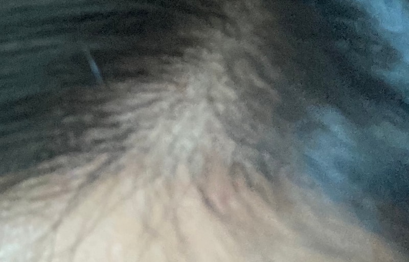 78332625-47F5-445E-A168-194C600EEC69.jpeg