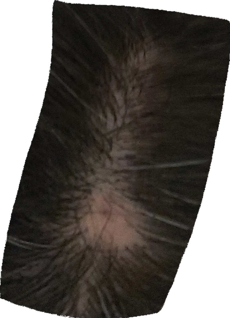 20221019_133900.png