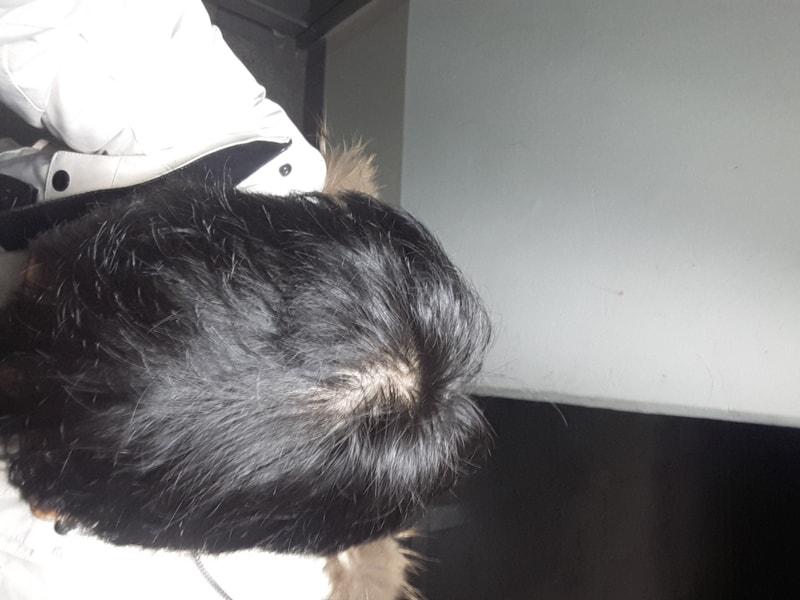 20190227_021034.jpg