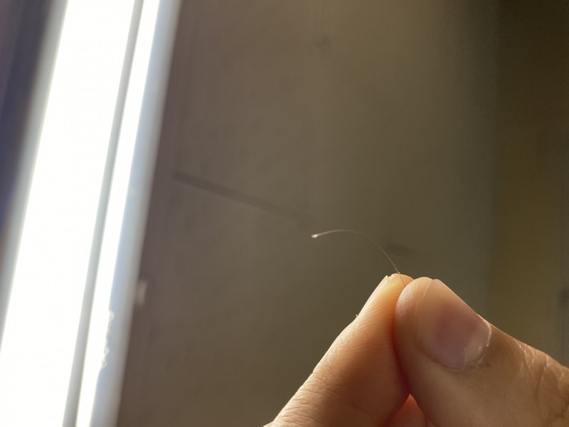 AF2F7055-AA7F-4528-BEE8-FC8CCA5123BE.jpeg