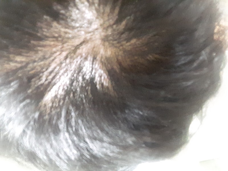 20180424_000606.jpg