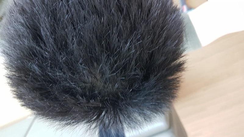 20180828_110916.jpg