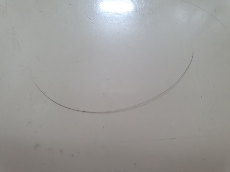 20190728_211503.jpg