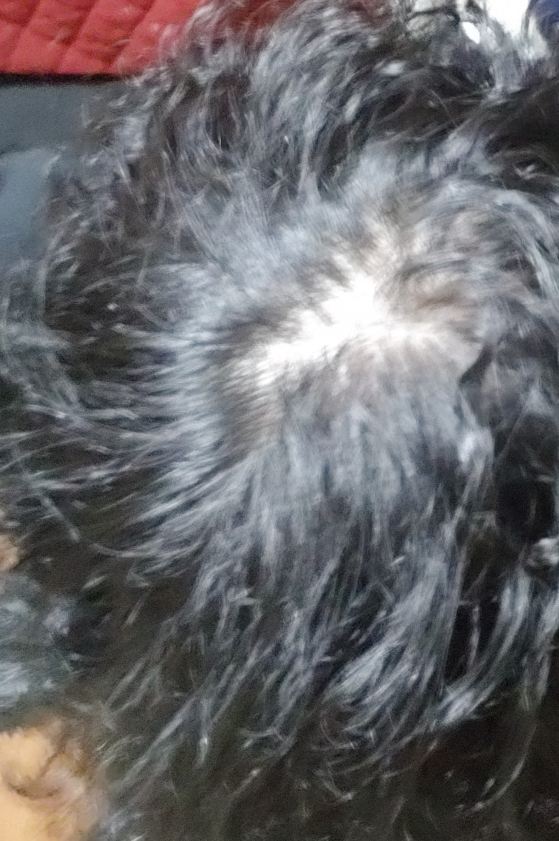20191227_1738312.jpg