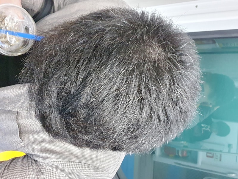 1715038424750.jpg