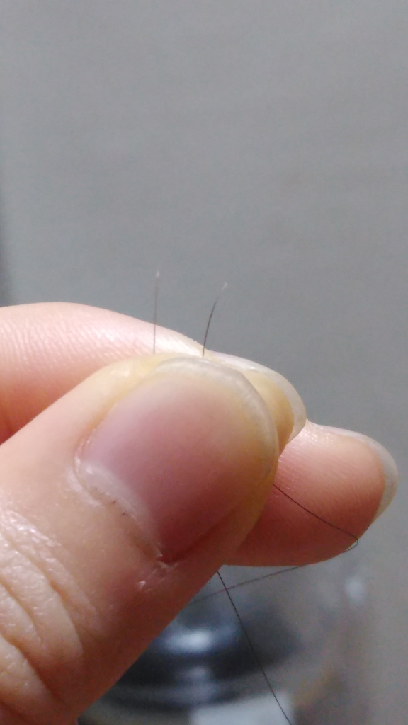 20170802_094923.jpg