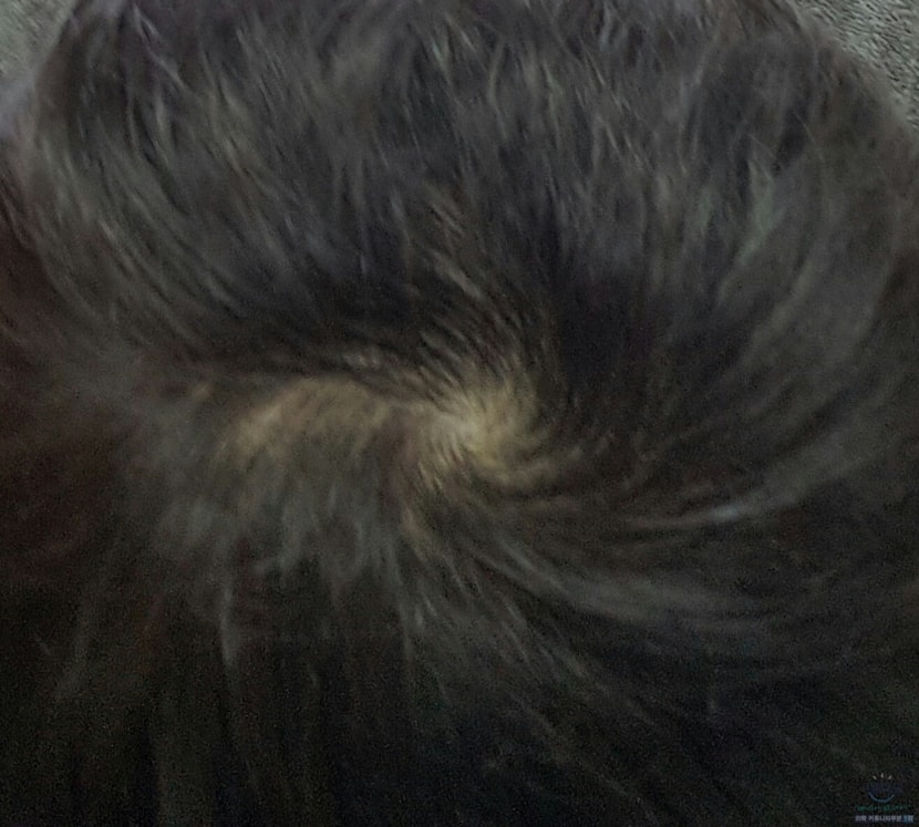 3달전 머리 짧았을 때 찍은사진