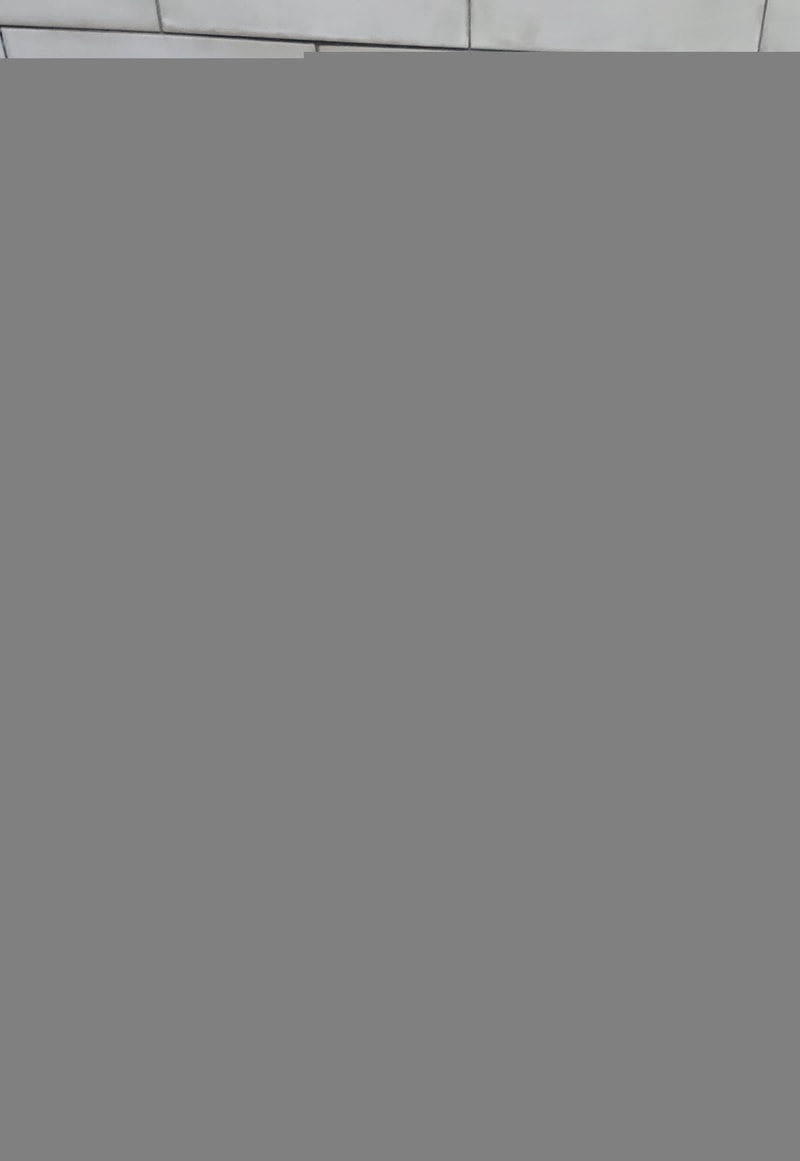 20201001_172834.jpg