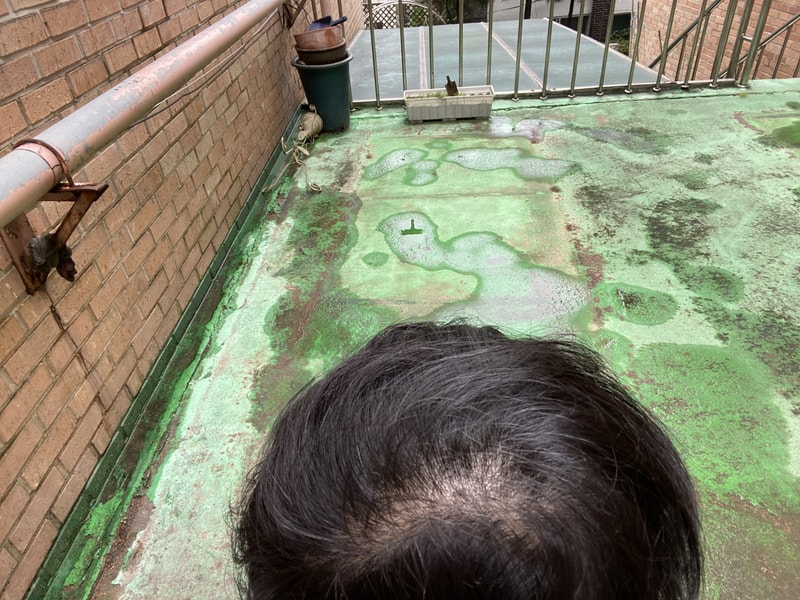 111272EB-C111-4C06-8E08-B91B10834D1A.jpeg