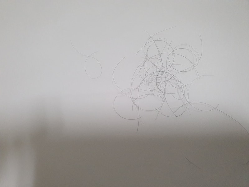 20201210_202441.jpg
