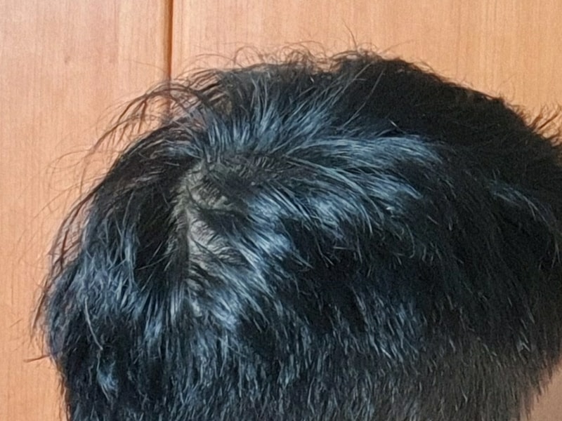 1600702433296.jpg