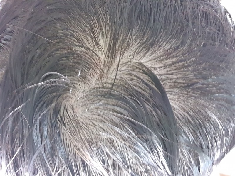 20210727_212850.jpg