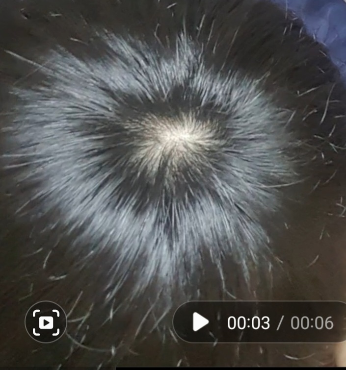 Screenshot_20220317-021914_Gallery.jpg