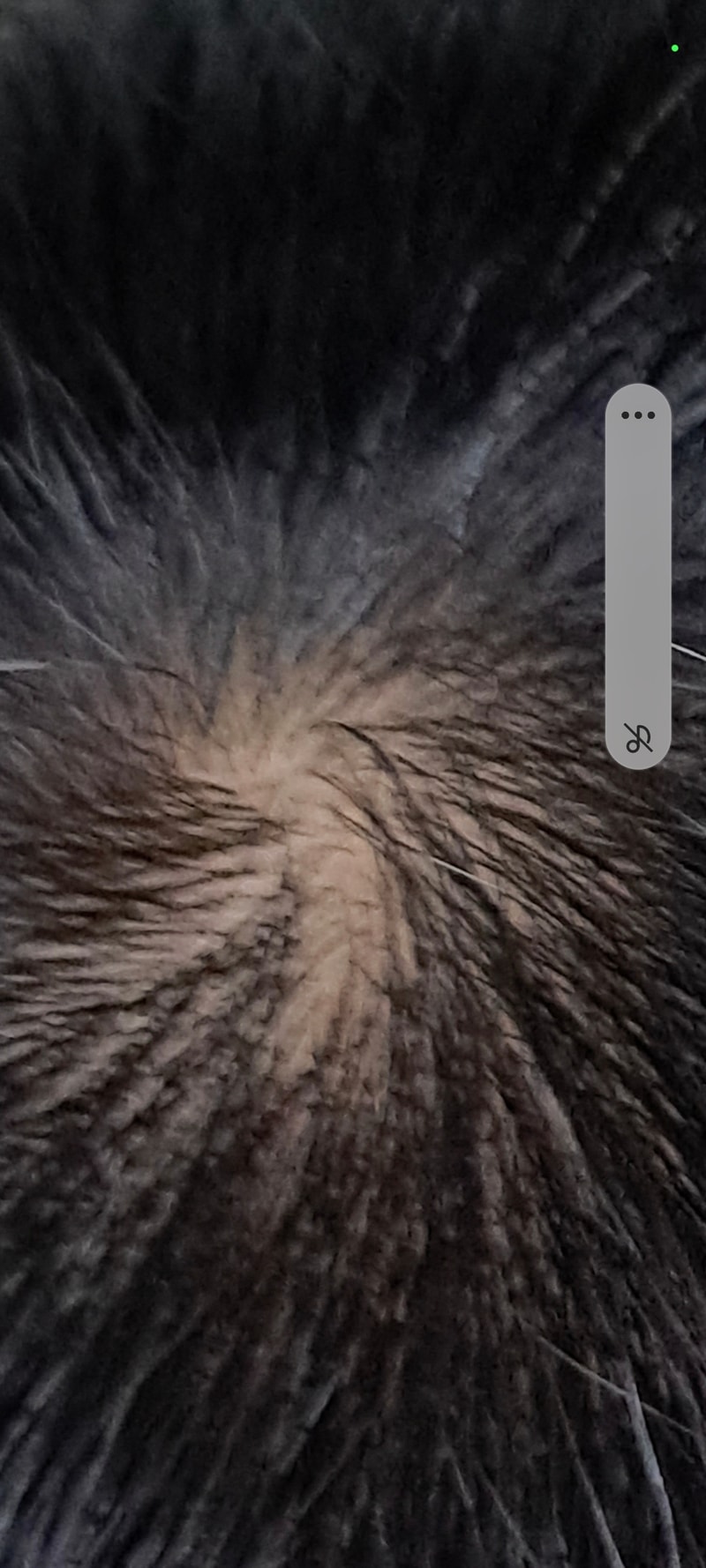 Screenshot_20221122_163043_Gallery.jpg