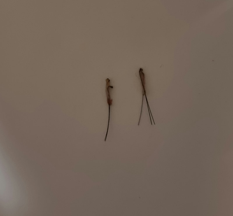 20220424_221702.jpg