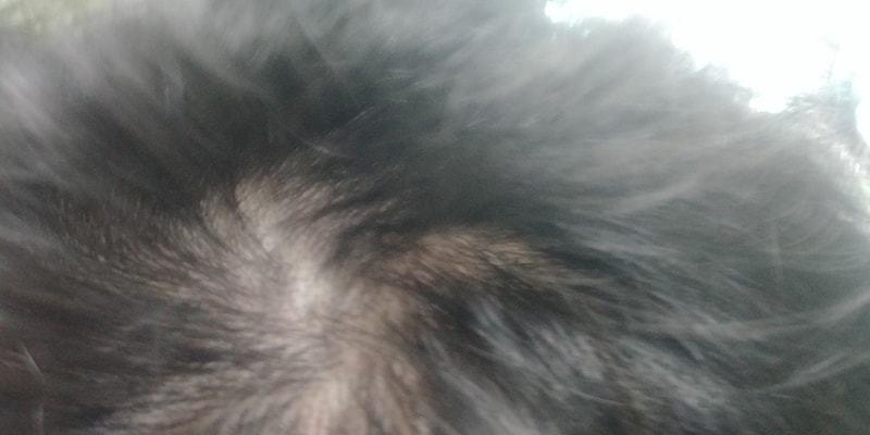 KakaoTalk_20181021_160751603.jpg