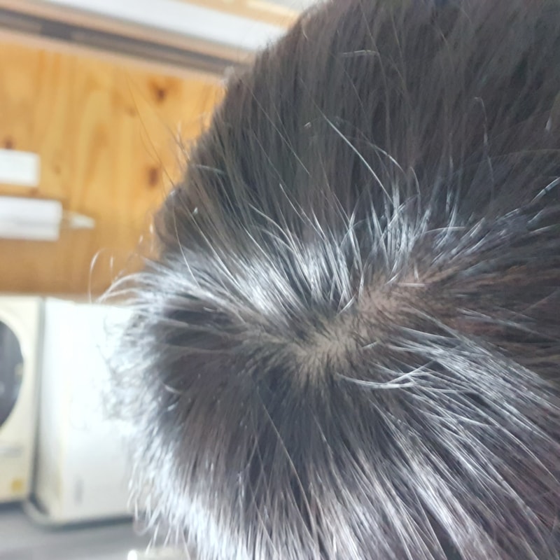 20210131_221738.jpg