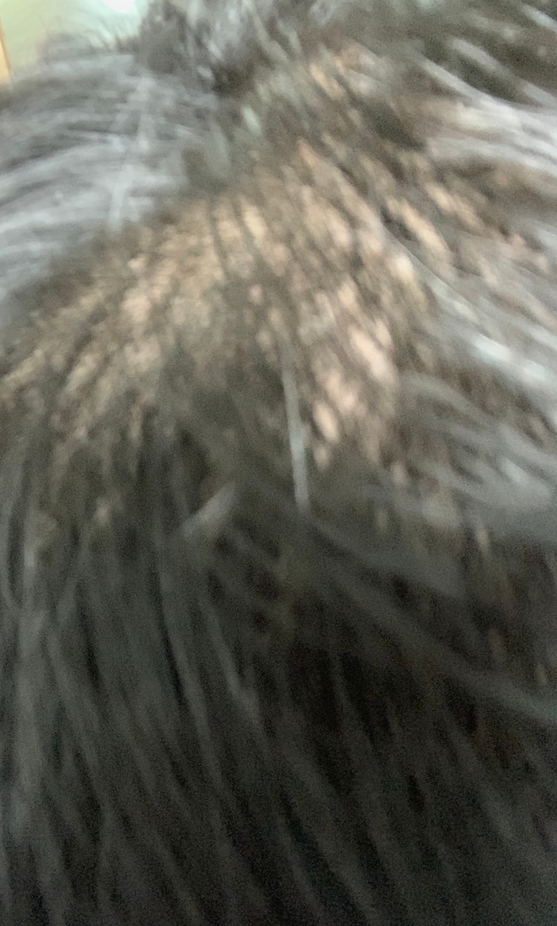 ACD60348-7A81-4D57-9D23-3D45F3AB4950.jpeg