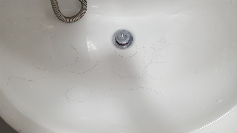20190804_225603.jpg