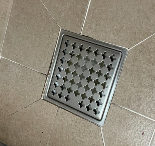 사진.png
