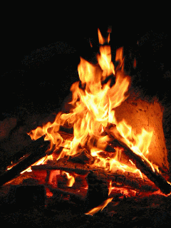 2084439327_699d8051_wallpaper_ykchoi2174.gif
