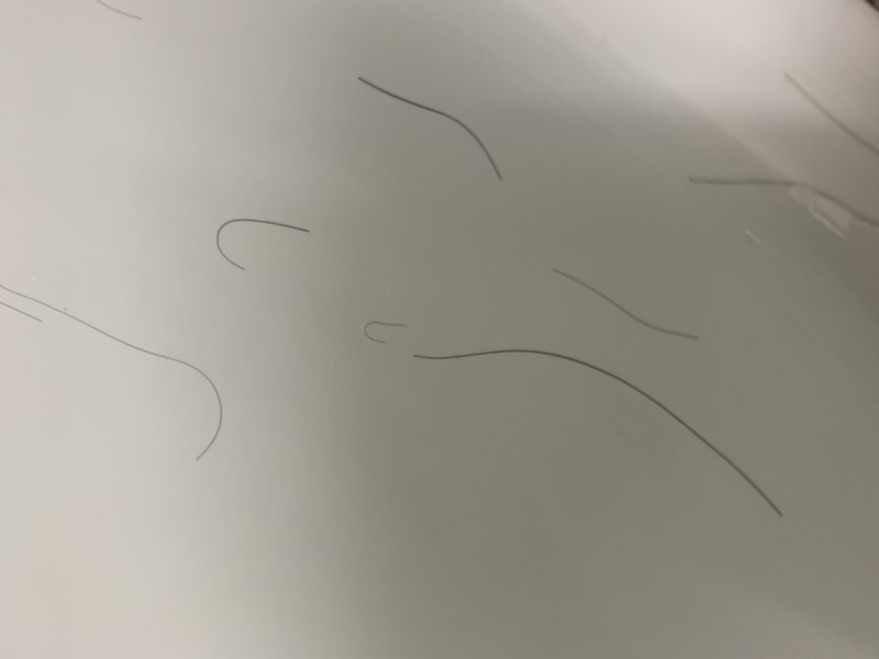 86DB0406-4DF5-4EB6-893E-A3C0F0C847A7.jpeg