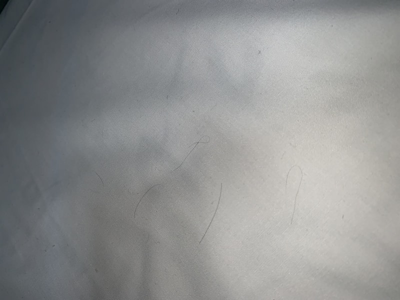 B0A94E8E-74D5-4E31-B76E-94AD8E7FD801.jpeg