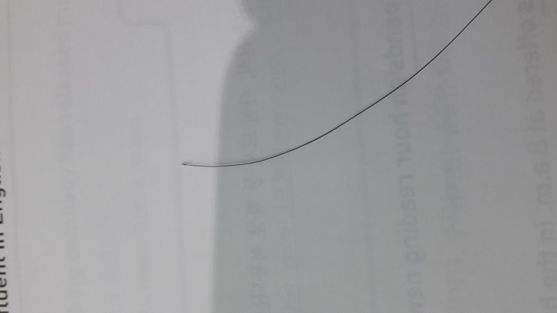 20170512_132924.jpg