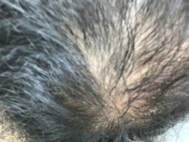 8EF90632-78DF-4859-9102-1CBB142657D1.jpeg
