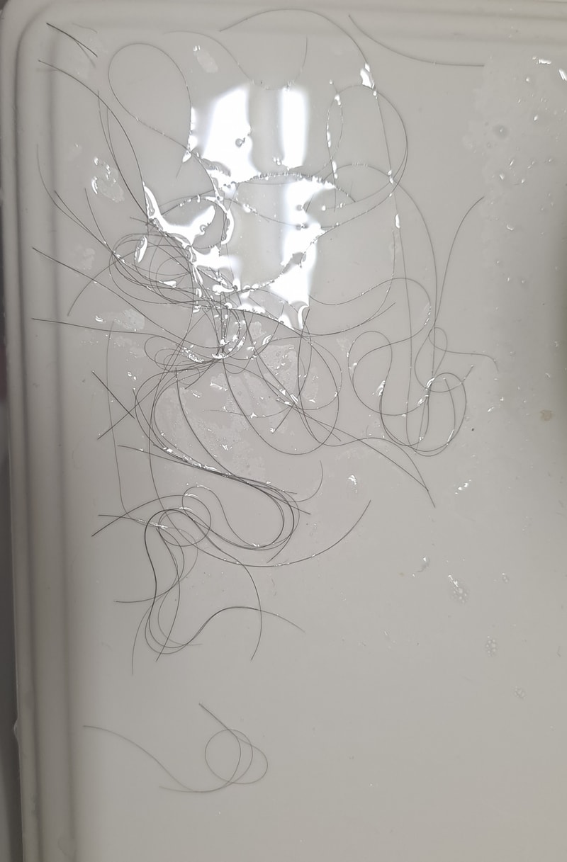 20211119_222236.jpg