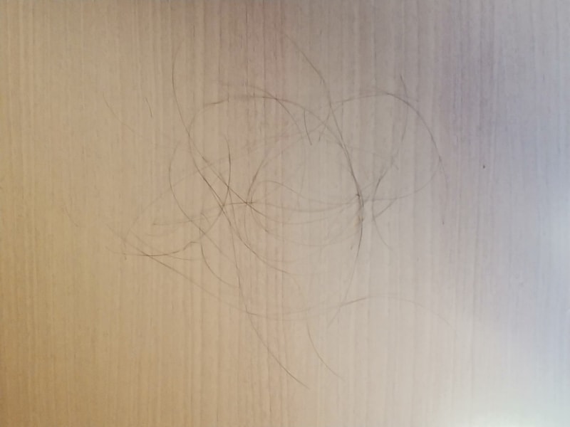 20181212_110349.jpg