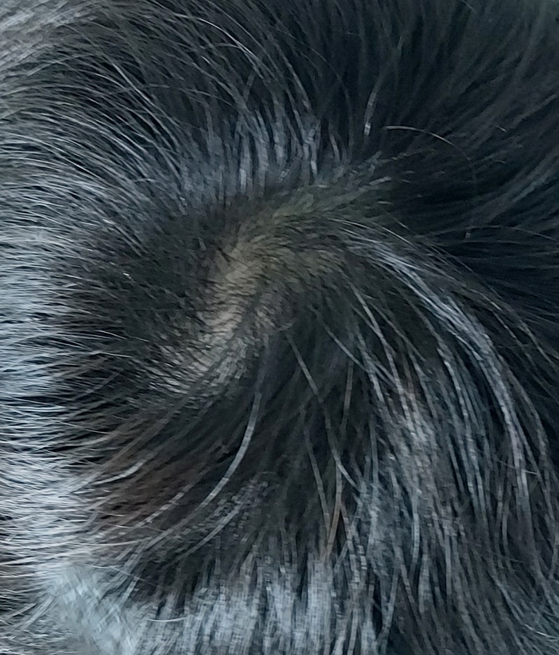 20220805_133955.jpg