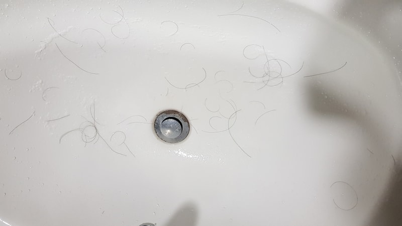 20180705_093747.jpg