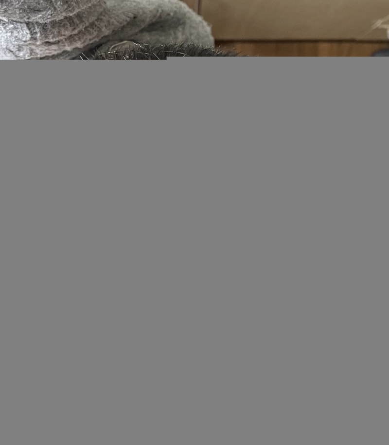 IMG_0088.jpeg