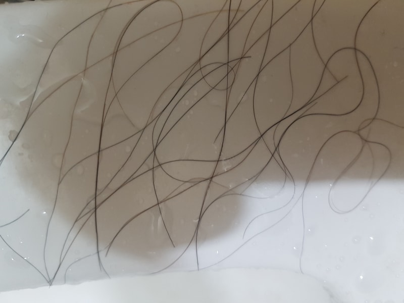 20190403_010844.jpg