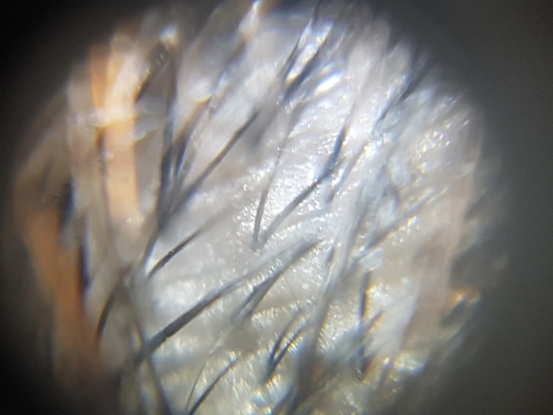 20171112_232307.jpg