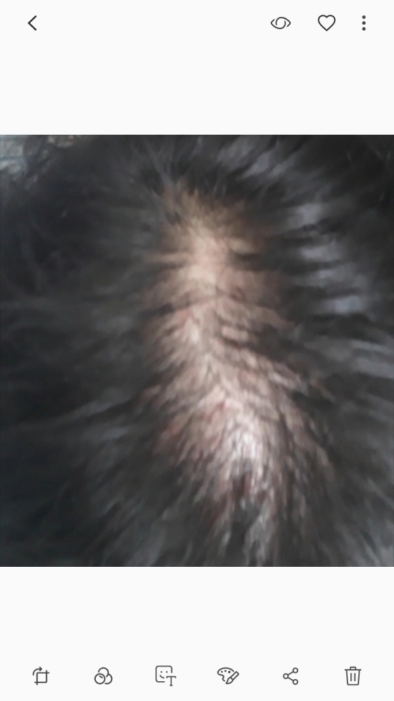 Screenshot_20190708-221830_Gallery.jpg