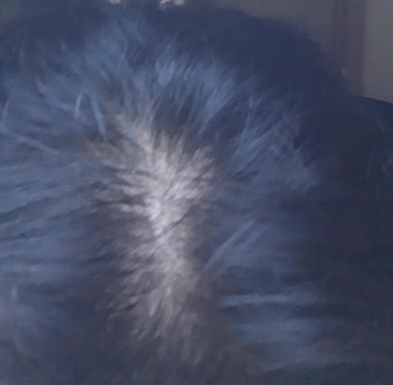 20190708_221744.jpg