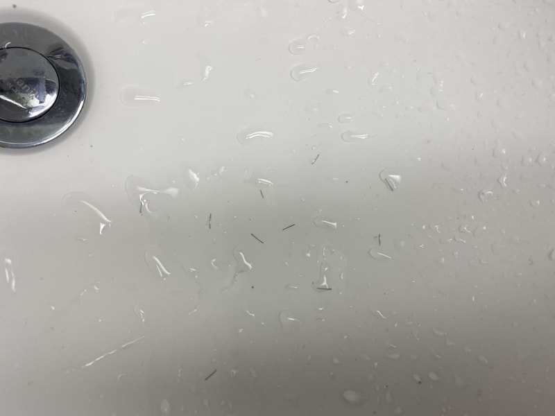 5311A94E-C112-49F4-9C6E-E98E54807E26.jpeg