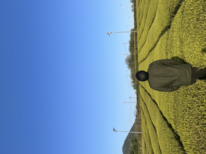 8386A5DD-FE57-4AA9-8973-F3A4BE9946BD.jpeg