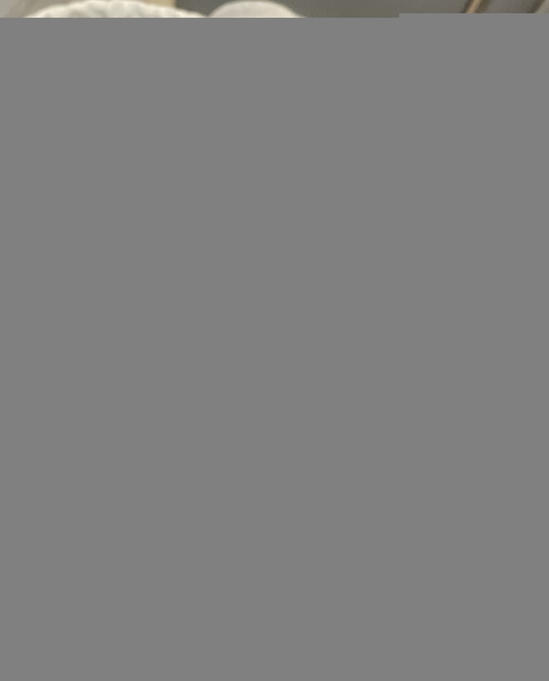 IMG_6561.jpeg